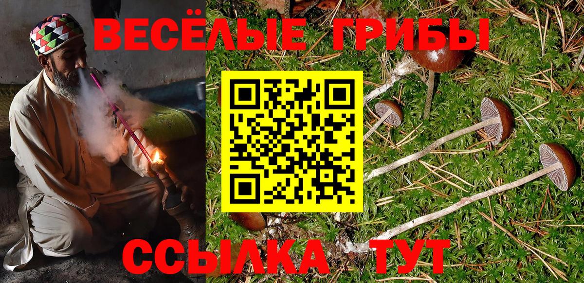 Псилоцибиновые грибы прущие грибы Изобильный